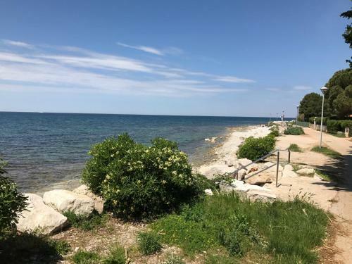 Todor Seaside Apartments