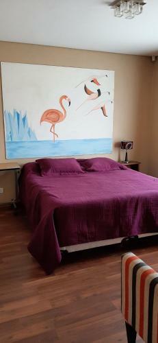 Apartamento Shotel Calafate
