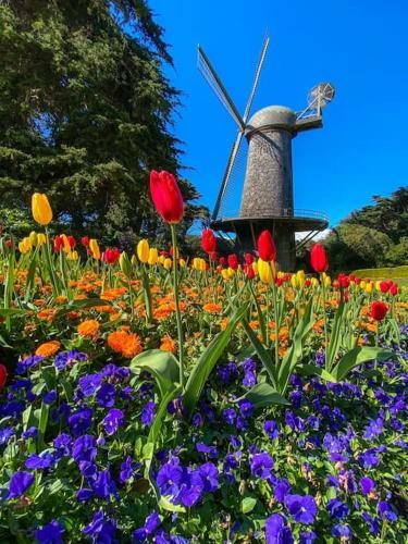 Apartamento Golden Gate Park Sweet Home-2 Bedrooms