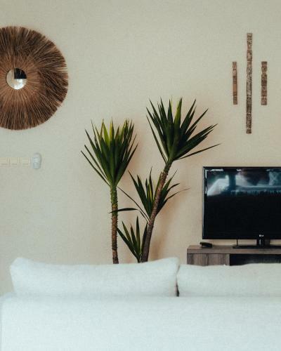 Villa The Sunny Lane Canggu