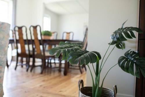 Bindi Cottage, Spacious & Unique, Opposite Pool