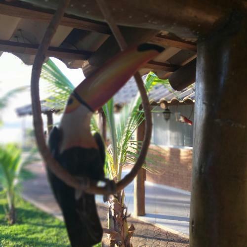Ch�cara Com Vista Espetacular!