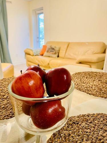 Sunny And Relaxing 2br Apartment With Parking!