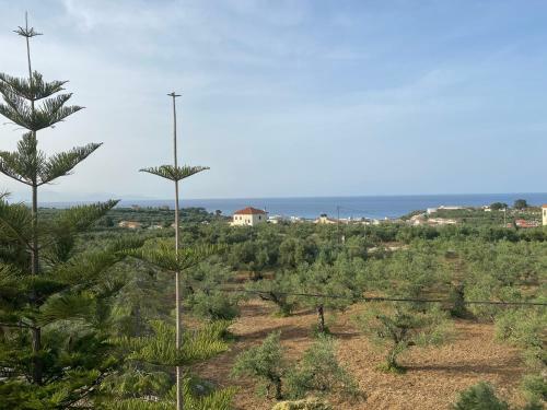Apartamento Theros Villa