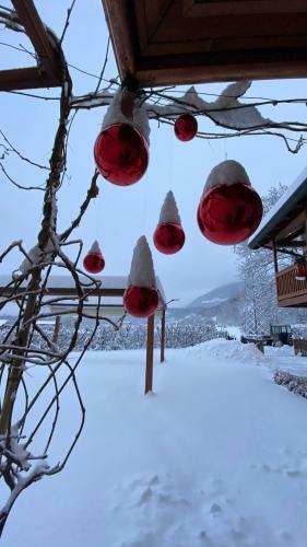 Bed & Breakfast La Tana Del Grillo