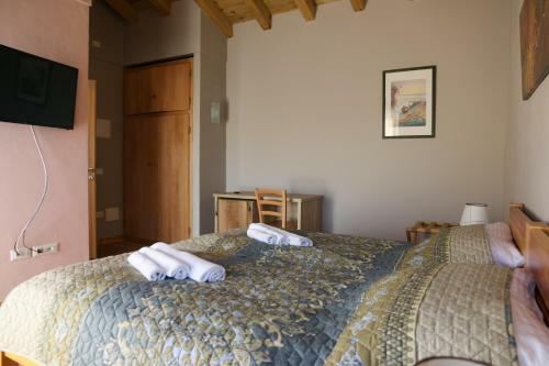 Hostal Casa Lenka