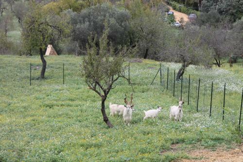 B&B Nettuno San Leone