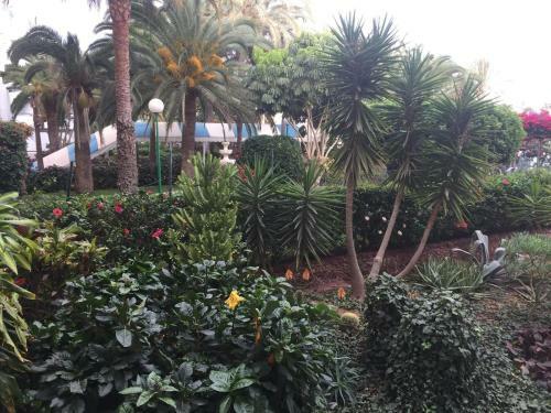 Apartamento Surycan Summer Style