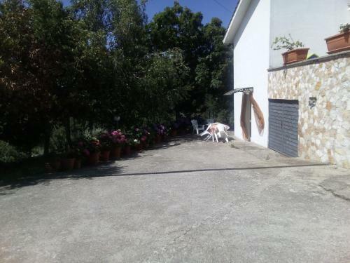 Apartamento Alloggio Turistico