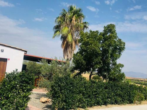 Lovely Home - Casa Rural Albacora