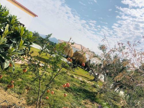 Lovely Home - Casa Rural Albacora