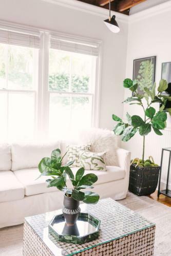 Guesthouse Charleston South 105 5