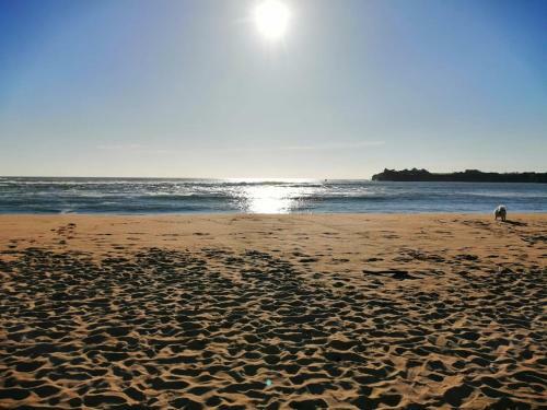 Apartamento Vue Sur Mer