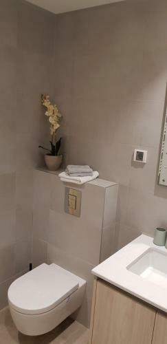 Kamin Beograd Na Vodi Apartman