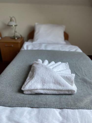 Hotel Z�me?ek Raspenava