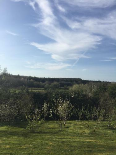 Hostal Carrick-on-shannon Guest House