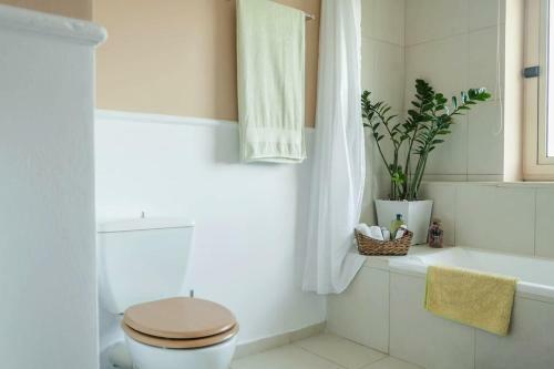 Villa Orange Tree Garden Vacation Home