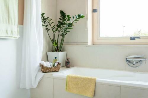 Villa Orange Tree Garden Vacation Home