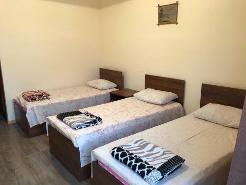 Hostal Guest House Mandarin On Titova 85