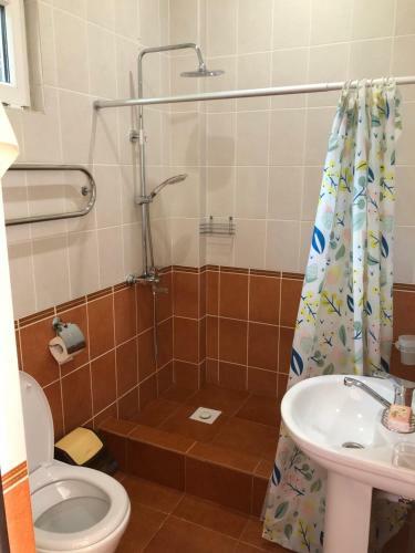 Hostal Guest House Mandarin On Titova 85
