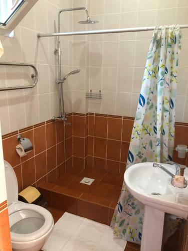 Hostal Guest House Mandarin On Titova 85