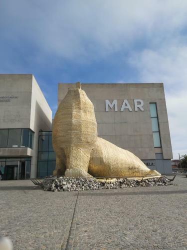 Apartamento Flat Museo Mar