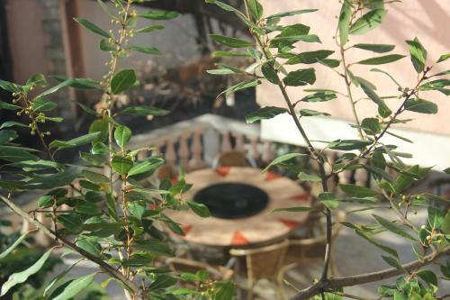 Apartamentos Guest House Monica
