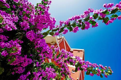 Hostal Villa Bojana