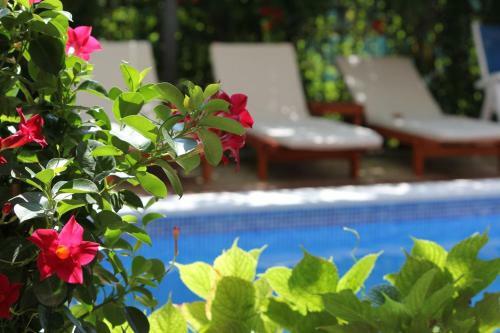 Hostal Villa Bojana