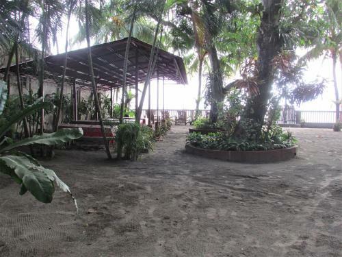 Felipa Beach Residence - Lotus