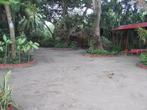 Felipa Beach Residence - Lotus