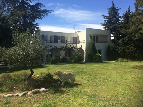 Bed & Breakfast Villa C�te Vermeille