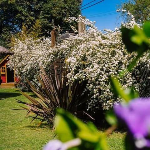 Hostal Hosteria Casa De Campo
