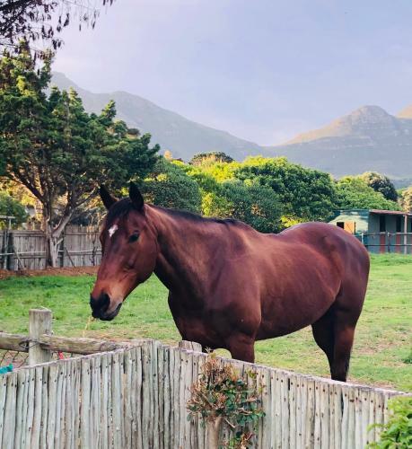 Noordhoek The Lookout