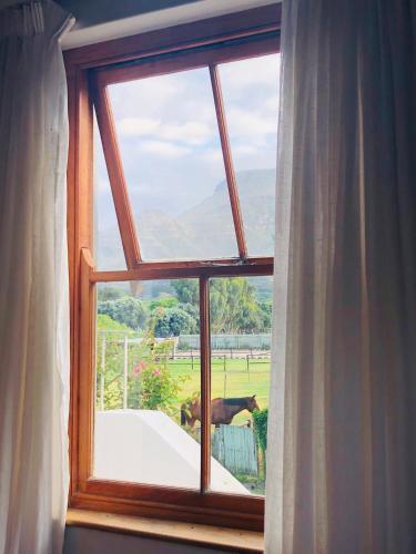 Noordhoek The Lookout