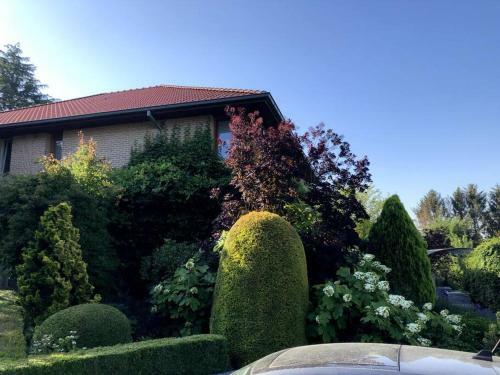 Apartamento Belair Country House