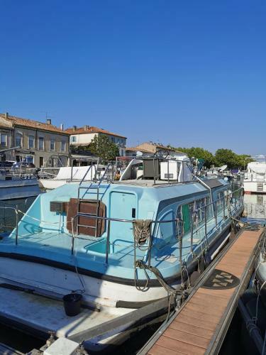 Bateau Bleu Entier 10m Avec Terrasse