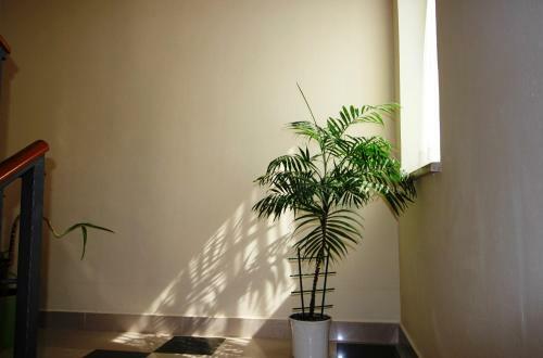 Apartamento Maria Mare