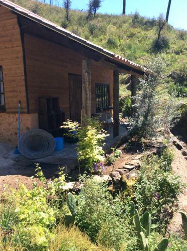 Unique Tiny House With Natural Building Techniques