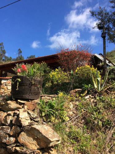Unique Tiny House With Natural Building Techniques
