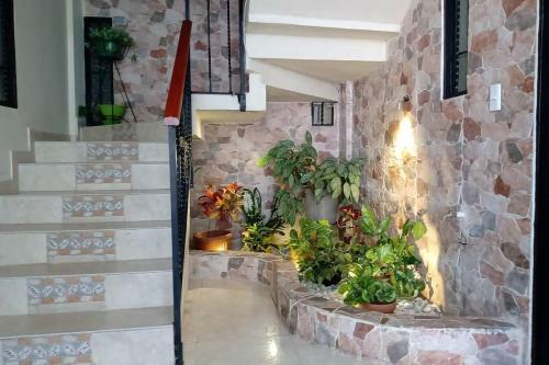 Acogedor Apartamento Amoblado Para Alquiler