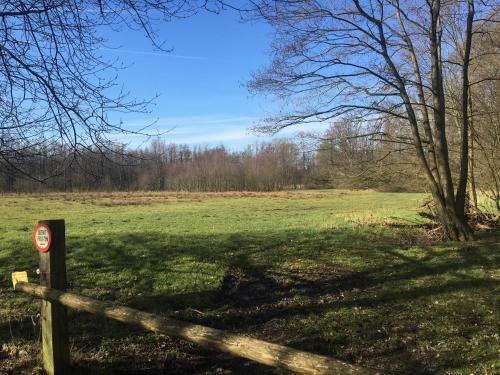't Hulzen 55 Or 61 Winterswijk