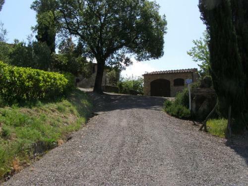 Agroturismo Agriturismo Collesassi