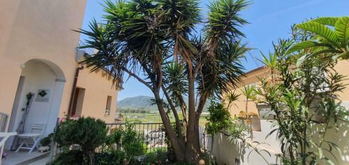 B&B Villa Orchidea