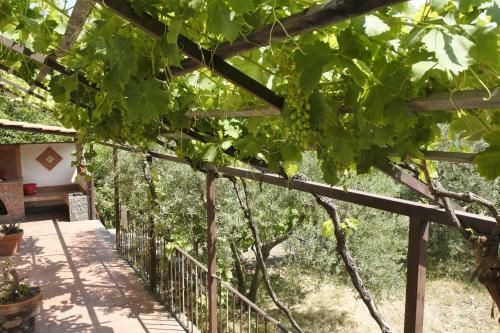 Casa Vacanza Etna Evergreen