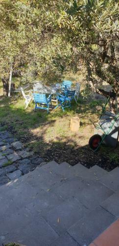 Casa Vacanza Etna Evergreen