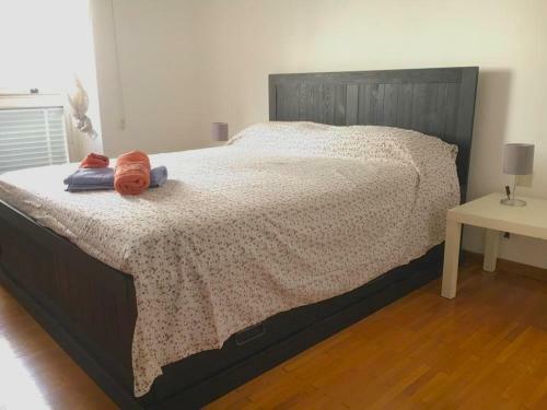 Apartamento Santa Teresa 152