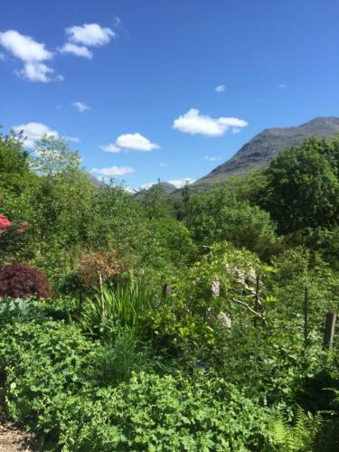Invercreran Lodge Luxury Bed & Breakfast