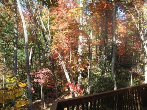 Blackberry Lodge