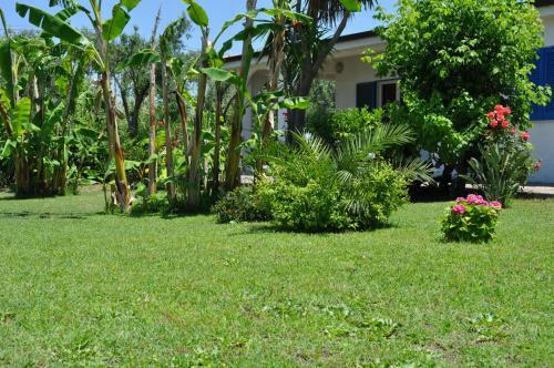 Hotel La Conchiglia Resort & Spa